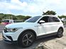 VOLKSWAGEN福斯 TIGUAN  第1張縮圖