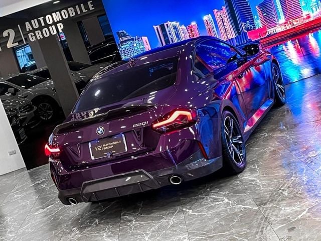 BMW/ 寶馬 220i M Sport  第14張相片