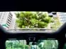 23P AMG夜色 四傳 柏林 加熱椅 360環景 多光束  第15張縮圖