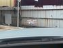 M Sport 原版件 配備~單記憶椅/ACC/盲點/無線充電座/HUD/換檔撥片/環景/電尾門 (海佃店)  第14張縮圖