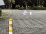 VOLKSWAGEN福斯 GOLF  第16張縮圖