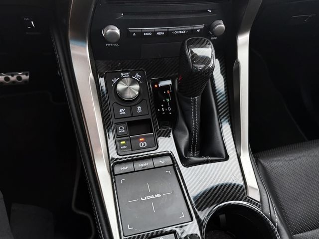LEXUS凌志 NX300H  第14張相片