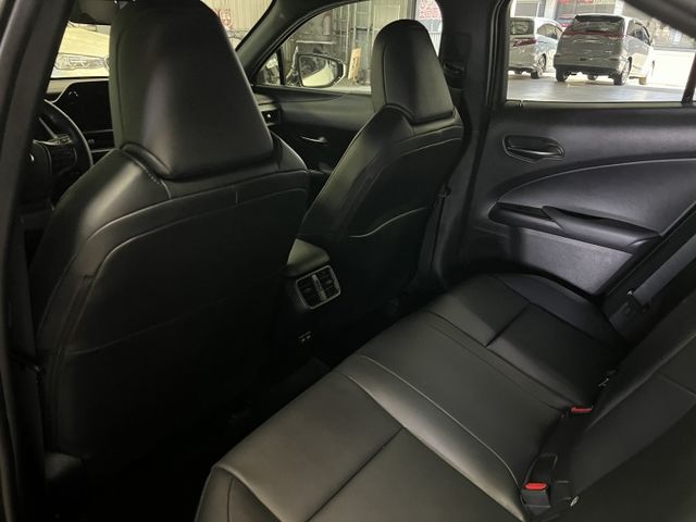UX200 菁英PLUS版 原鈑件 免鑰匙 ACC跟車 車道維持 盲點 倒車影像 CARPLAY 雙前電動座椅 駕駛模式  第18張相片