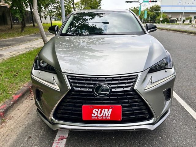 菁英PLUS版/原鈑件/ACC跟車/盲點/免鑰匙/LED頭燈/電動椅/電尾門/車偏/換檔撥片  第2張相片