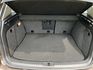 VOLKSWAGEN福斯 TIGUAN  第17張縮圖