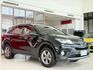 TOYOTA豐田 RAV4  第3張縮圖