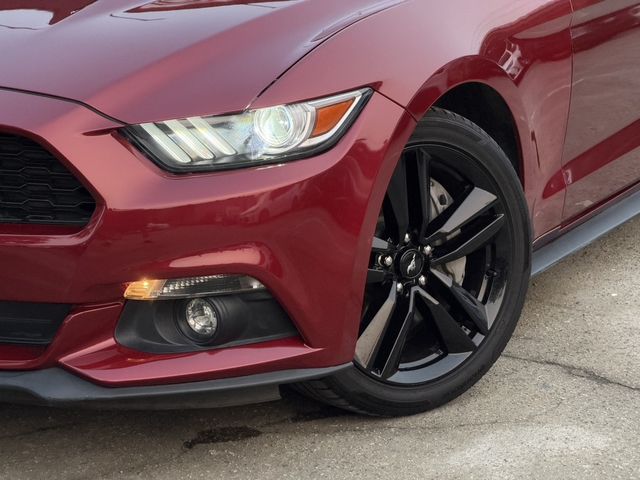 FORD福特 MUSTANG  第3張相片