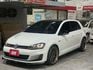 GOLF VII  第1張縮圖
