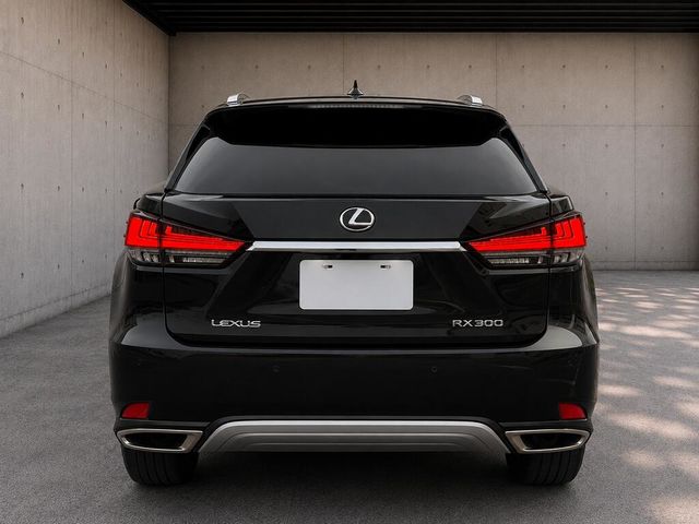 LEXUS凌志 RX300  第4張相片