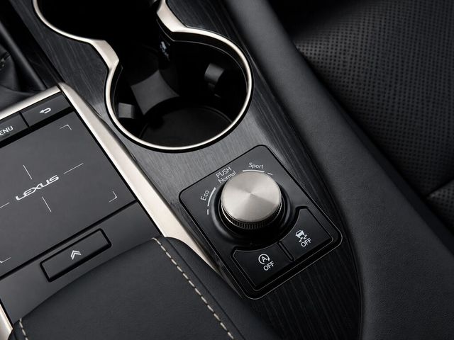 LEXUS凌志 RX300  第9張相片
