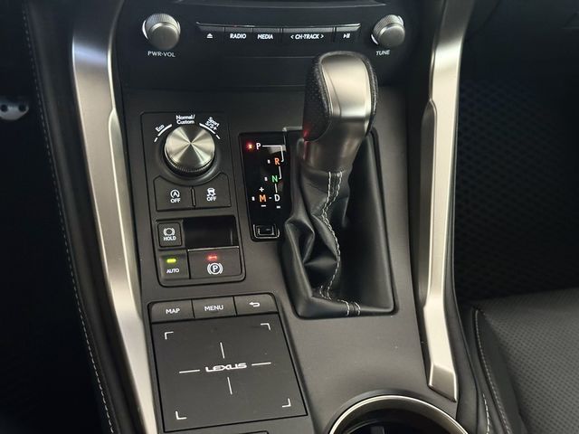 LEXUS凌志 NX300  第13張相片