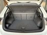 VOLKSWAGEN福斯 TIGUAN  第20張縮圖