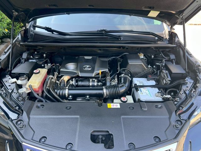 LEXUS凌志 NX300  第6張相片