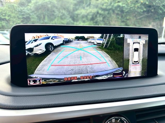 LEXUS凌志 RX300  第11張相片