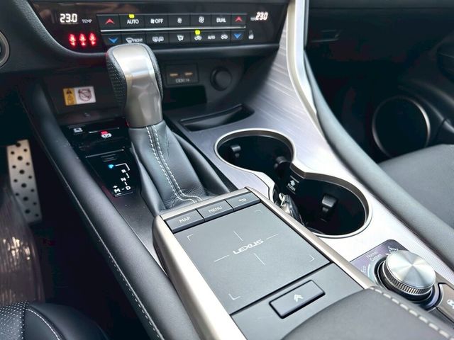 LEXUS凌志 RX300  第12張相片