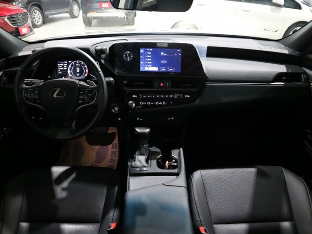 里程履約保證僅跑2萬 豪華版原廠保固 LED日行燈/頭燈/尾燈 CARPLAY ACC 盲點 車道偏離 雙電動/加熱椅  第10張相片
