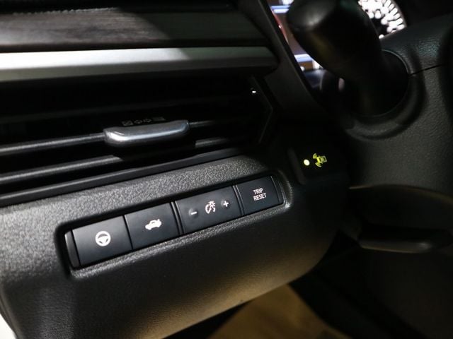 里程履約保證僅跑3萬 原廠保養 CARPLAY 導航 環景 盲點 ACC 車道偏離 電動座椅/天窗 後出風口 LED頭燈  第7張相片