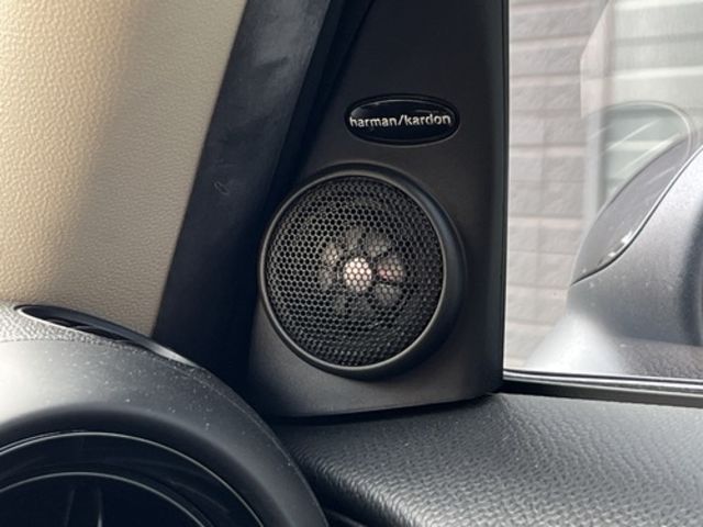 MINI迷你 COUNTRYMAN COOPER S  第11張相片
