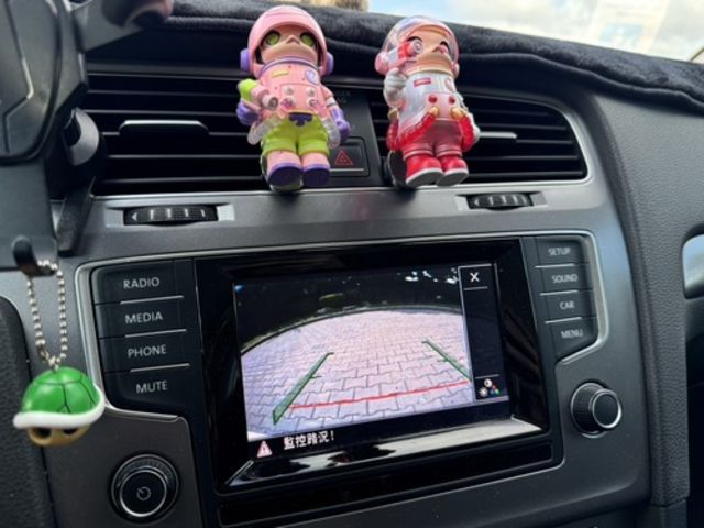 VOLKSWAGEN福斯 GOLF  第10張相片