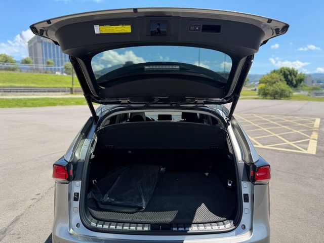 LEXUS凌志 NX300  第17張相片