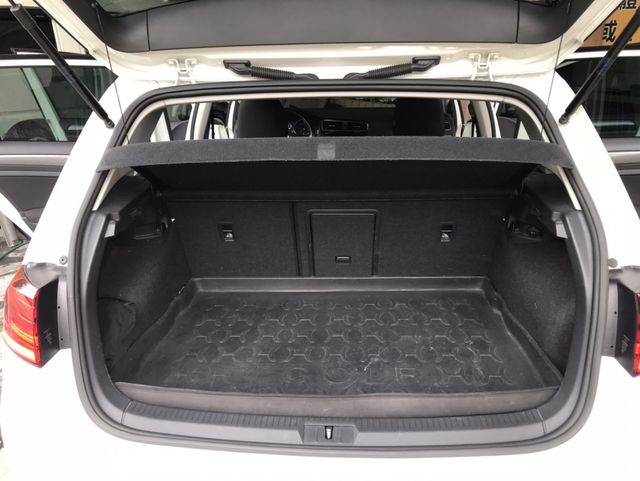 VOLKSWAGEN福斯 GOLF  第13張相片