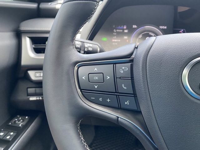 LEXUS凌志 UX250H  第3張相片