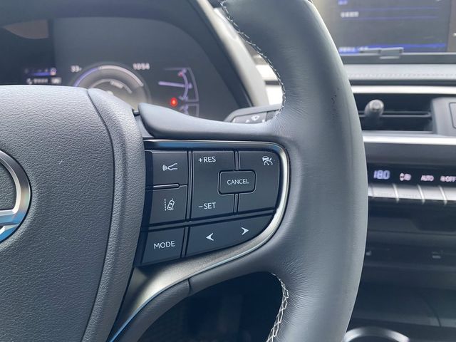LEXUS凌志 UX250H  第4張相片